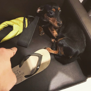 国产实夫妇探花4p交
